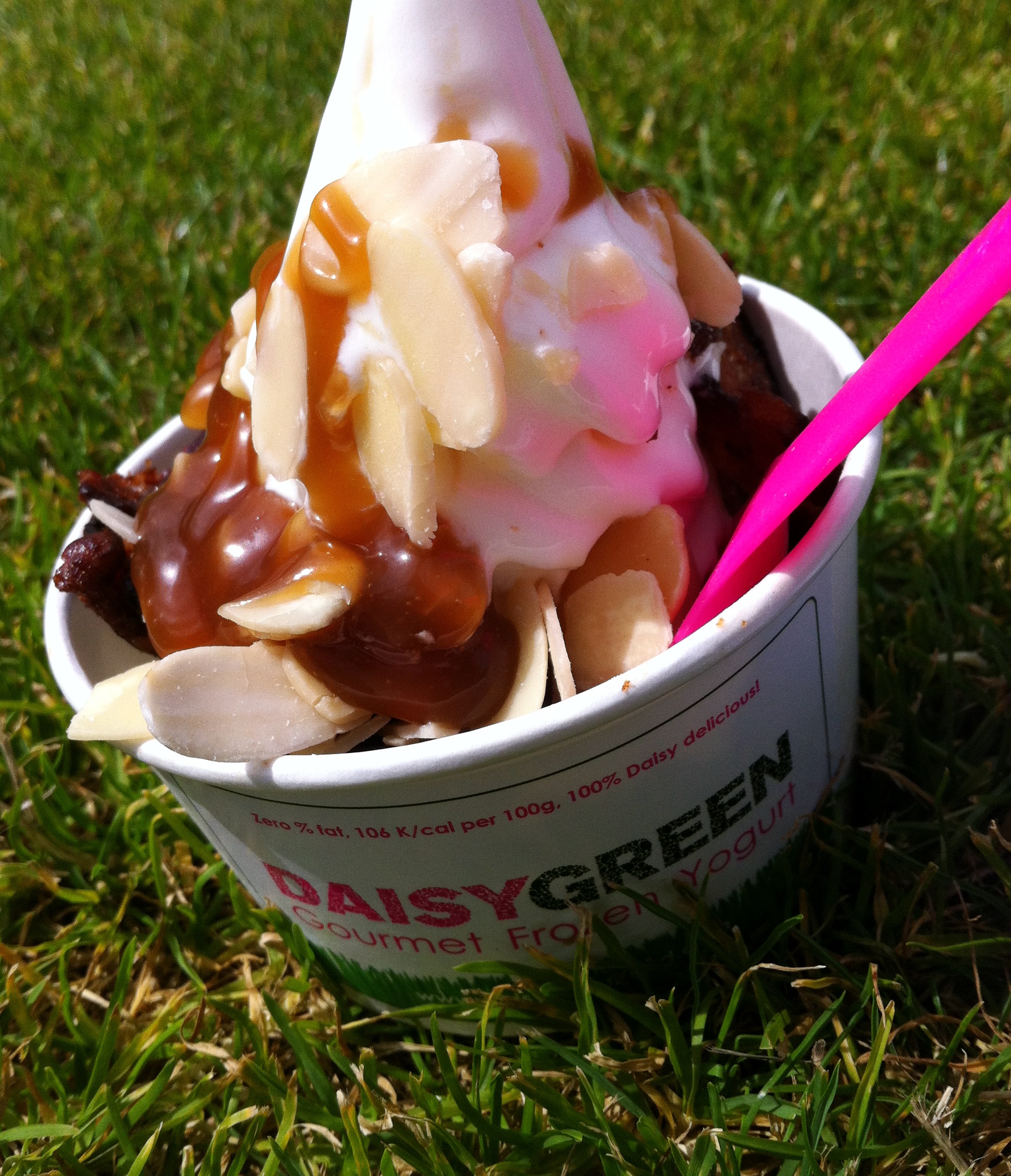 "Sweet and Salty" Daisy Green fro yo The Food Connoisseur