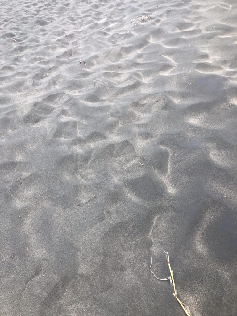 Karekare-beach-black-sand-1.jpg