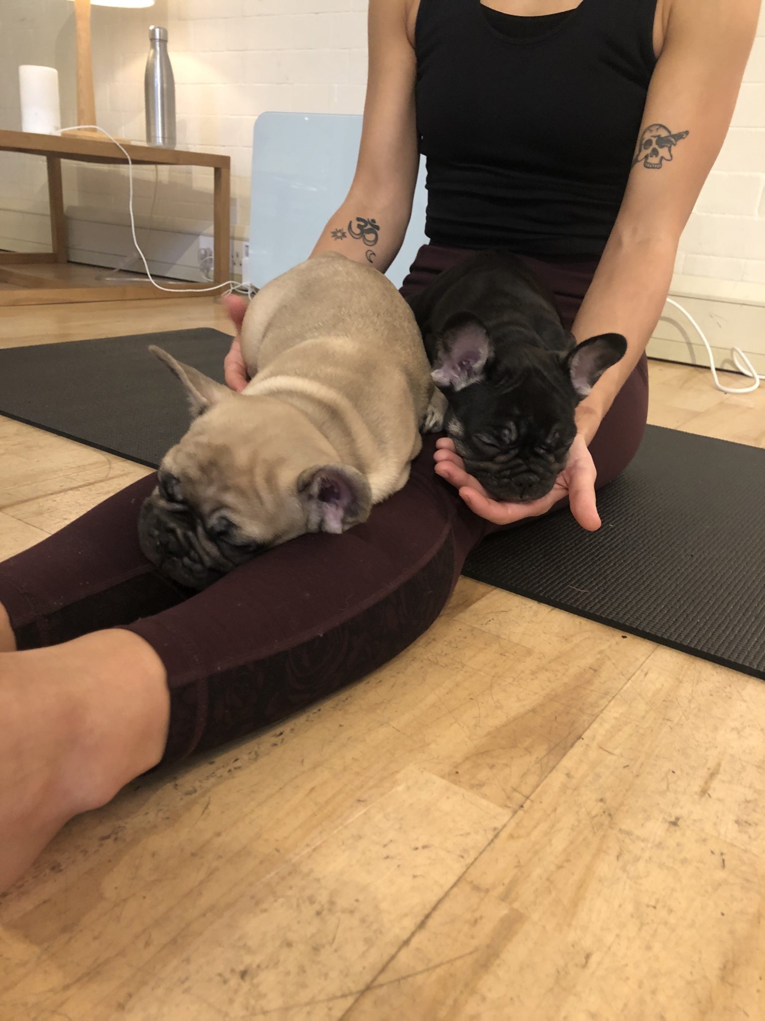 puppy yoga - yoga paws UK
