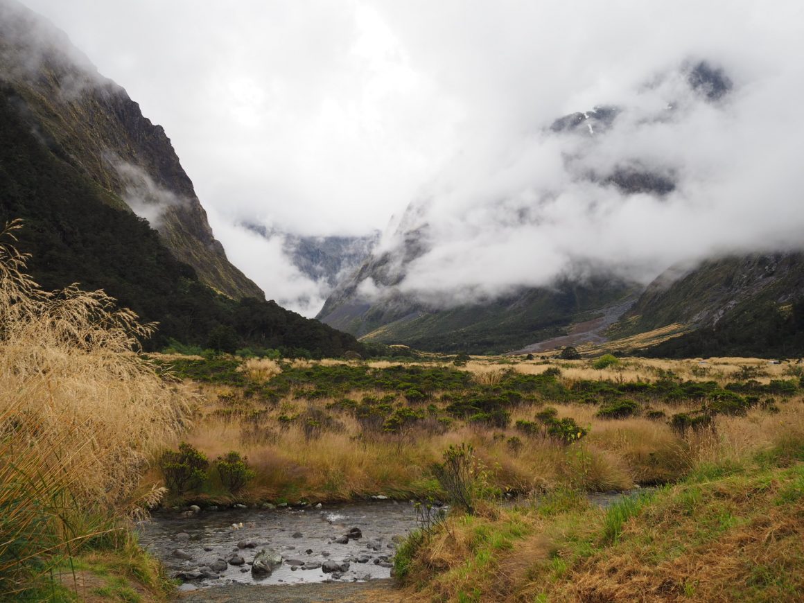 Fiordland National park