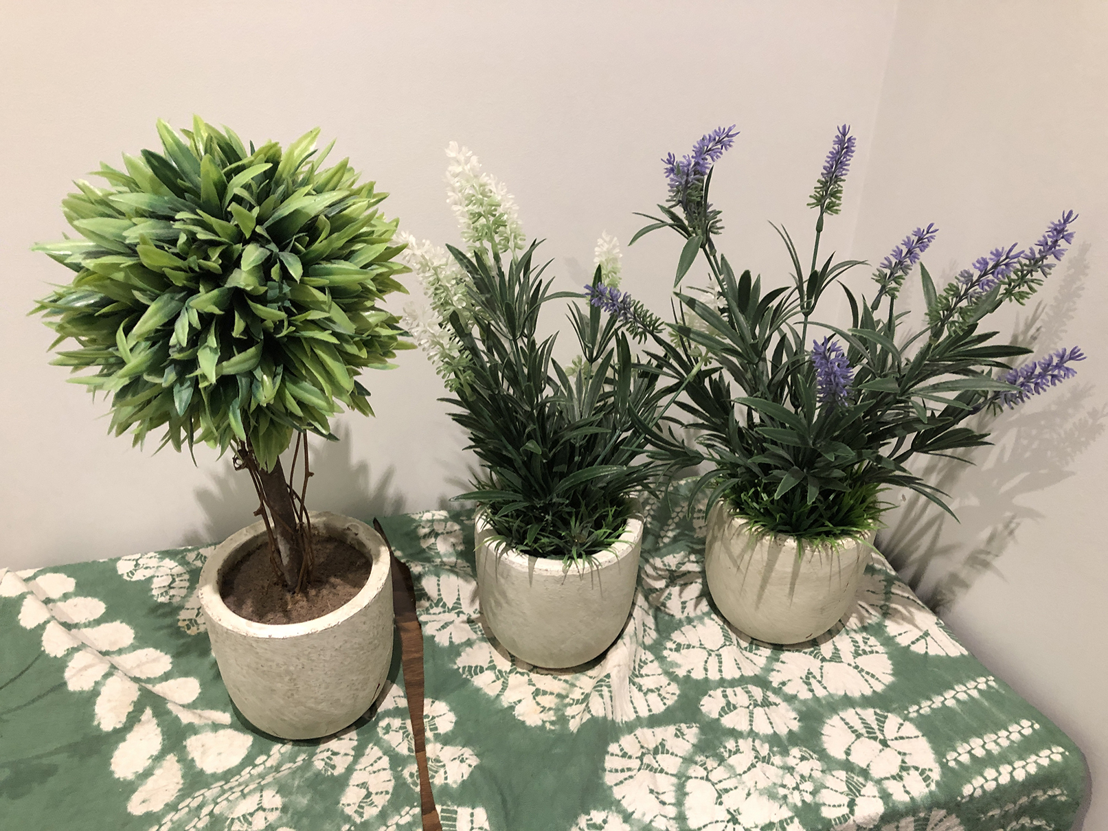 hikarisushi decor plants