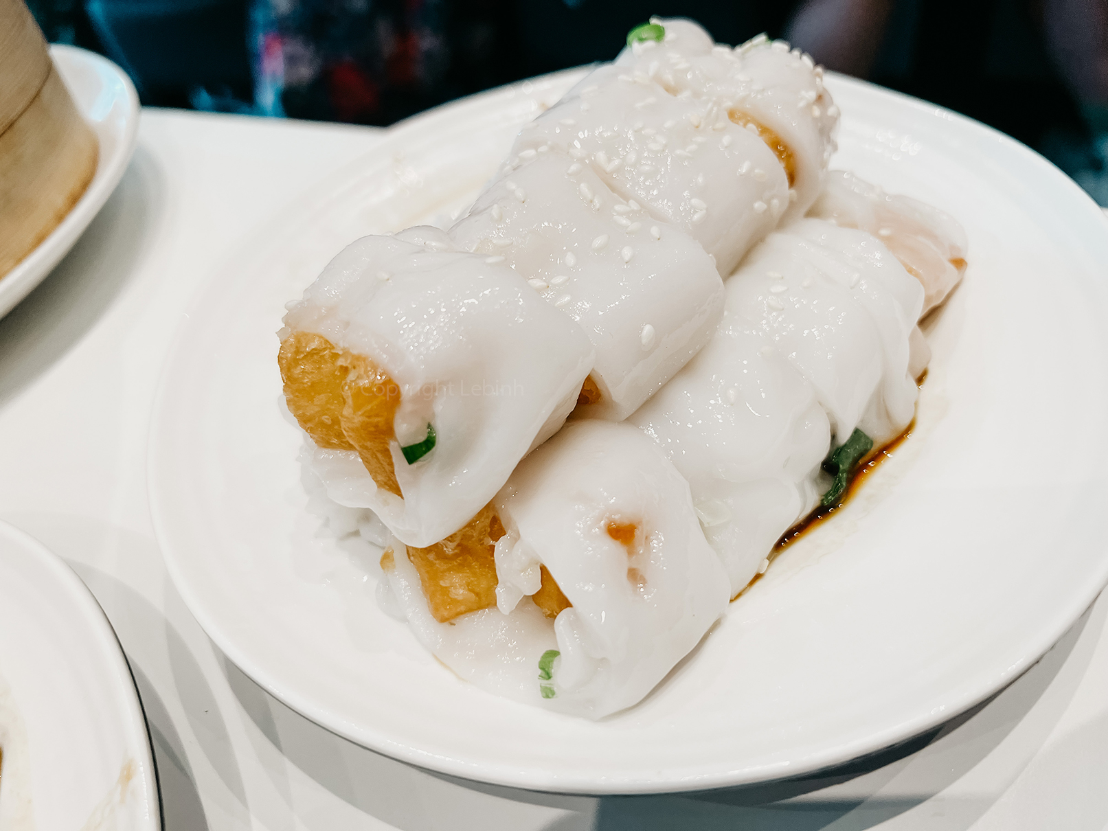 fried dough rice rolls - the food connoisseur