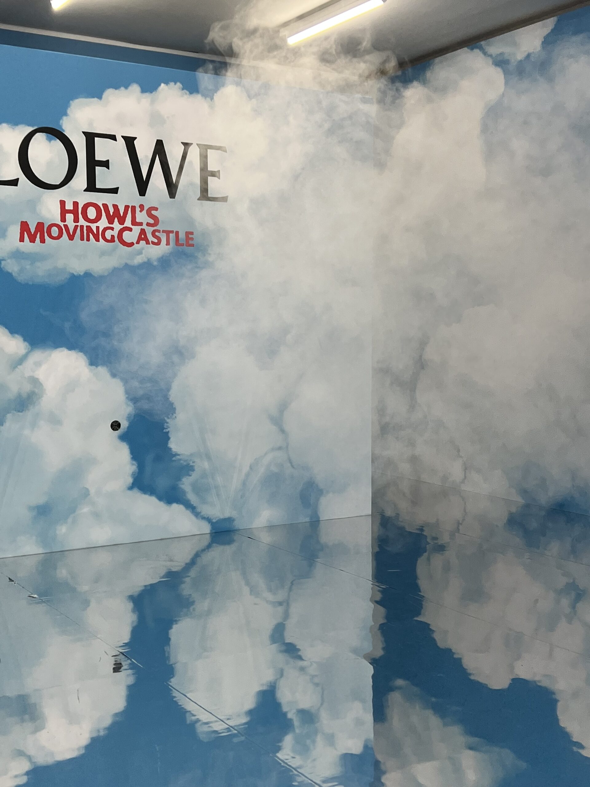 Howl's moving castle the Cloud room