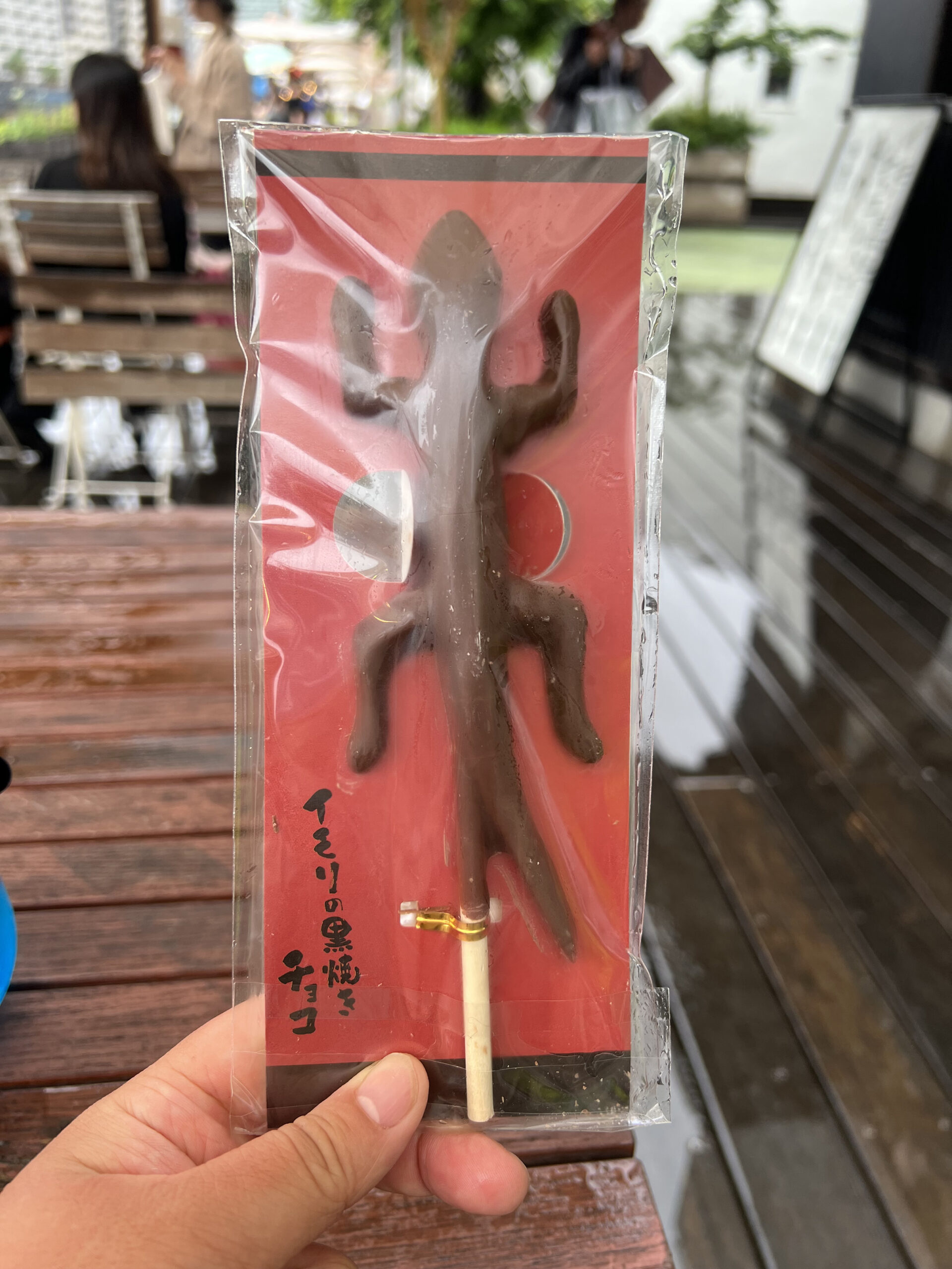 studio ghibli newt chocolate
