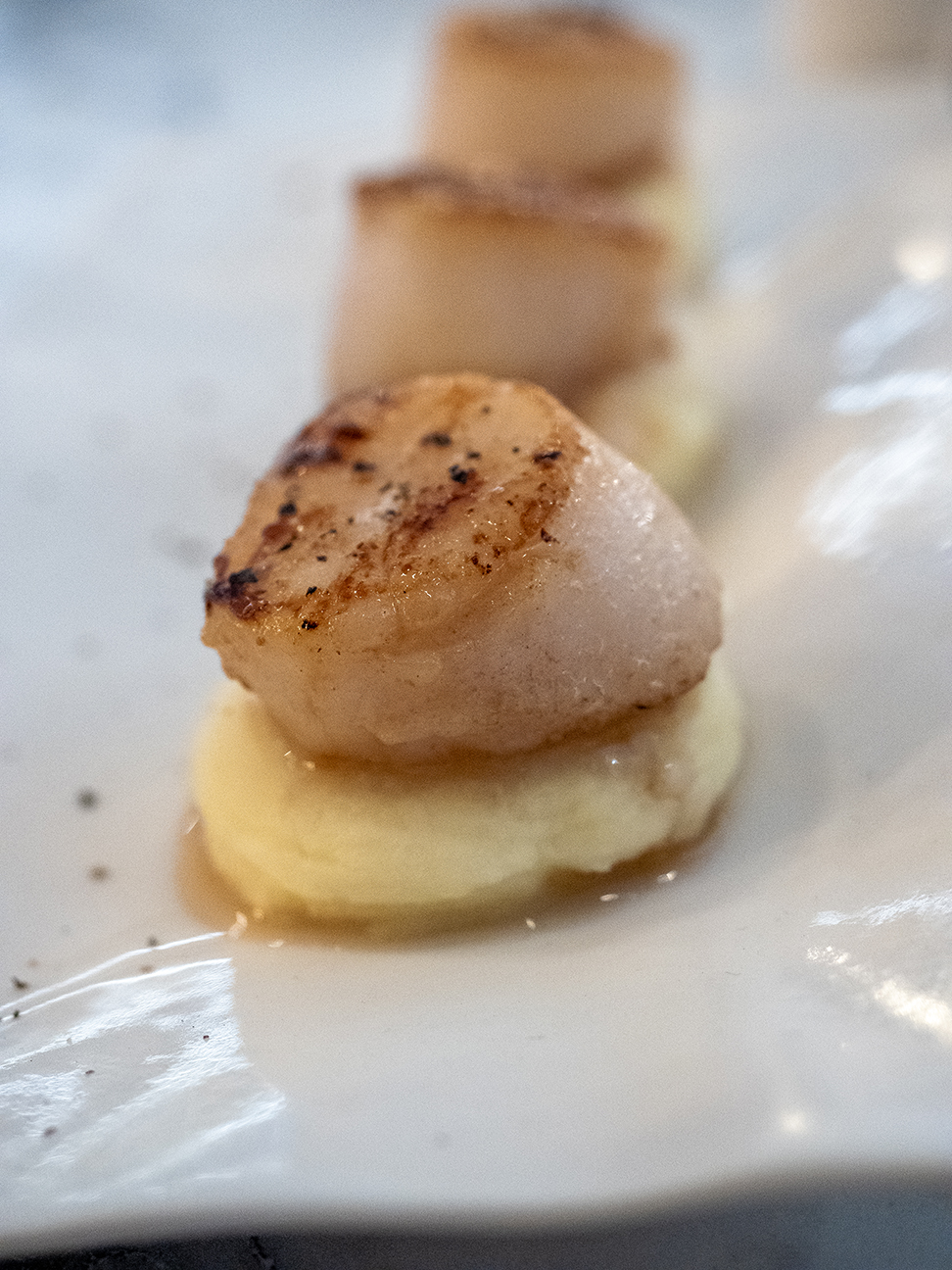 close up of PAN-SEARED SCALLOPS