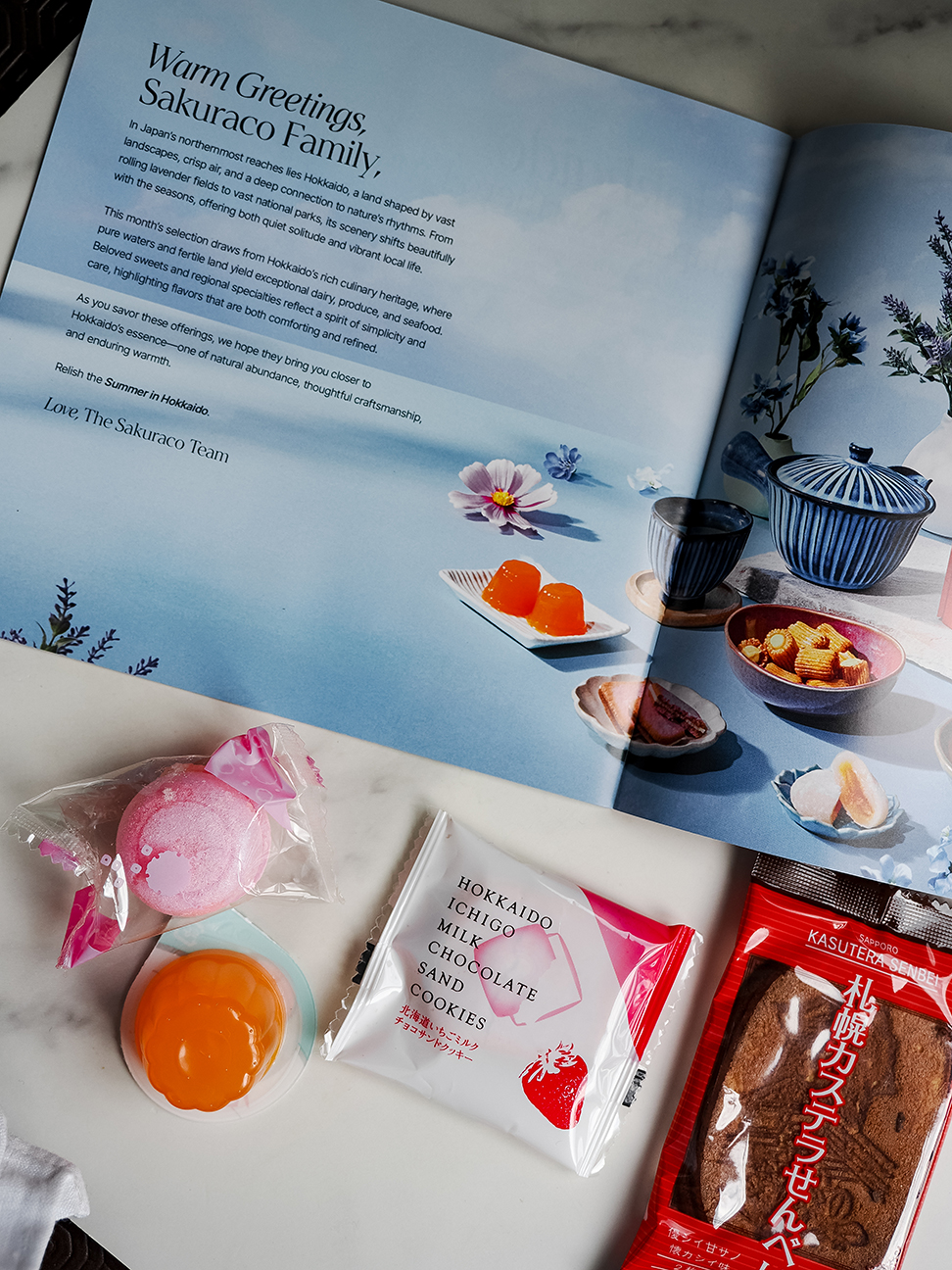 Booklet spread and Japanese snacks