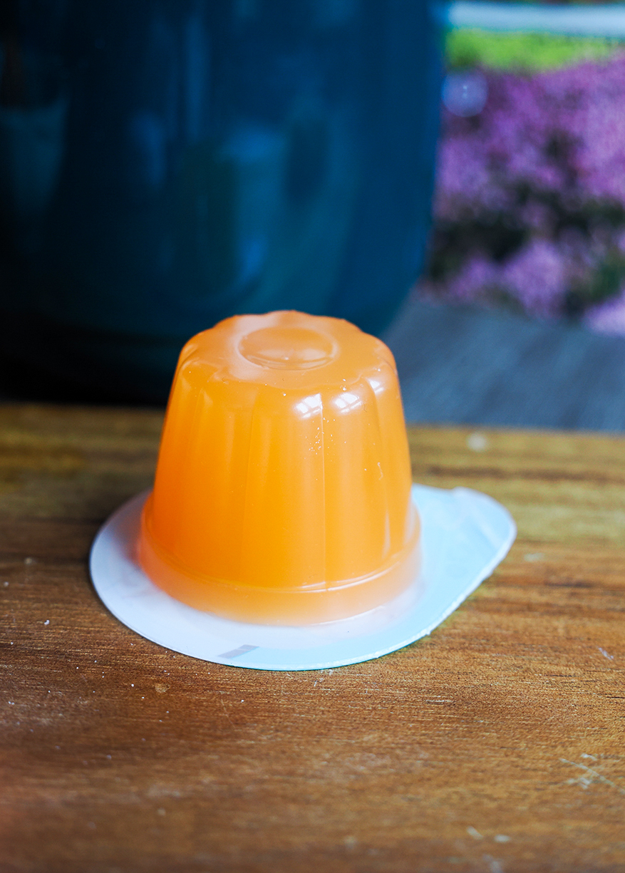 Hokshin food yubari melon jelly one