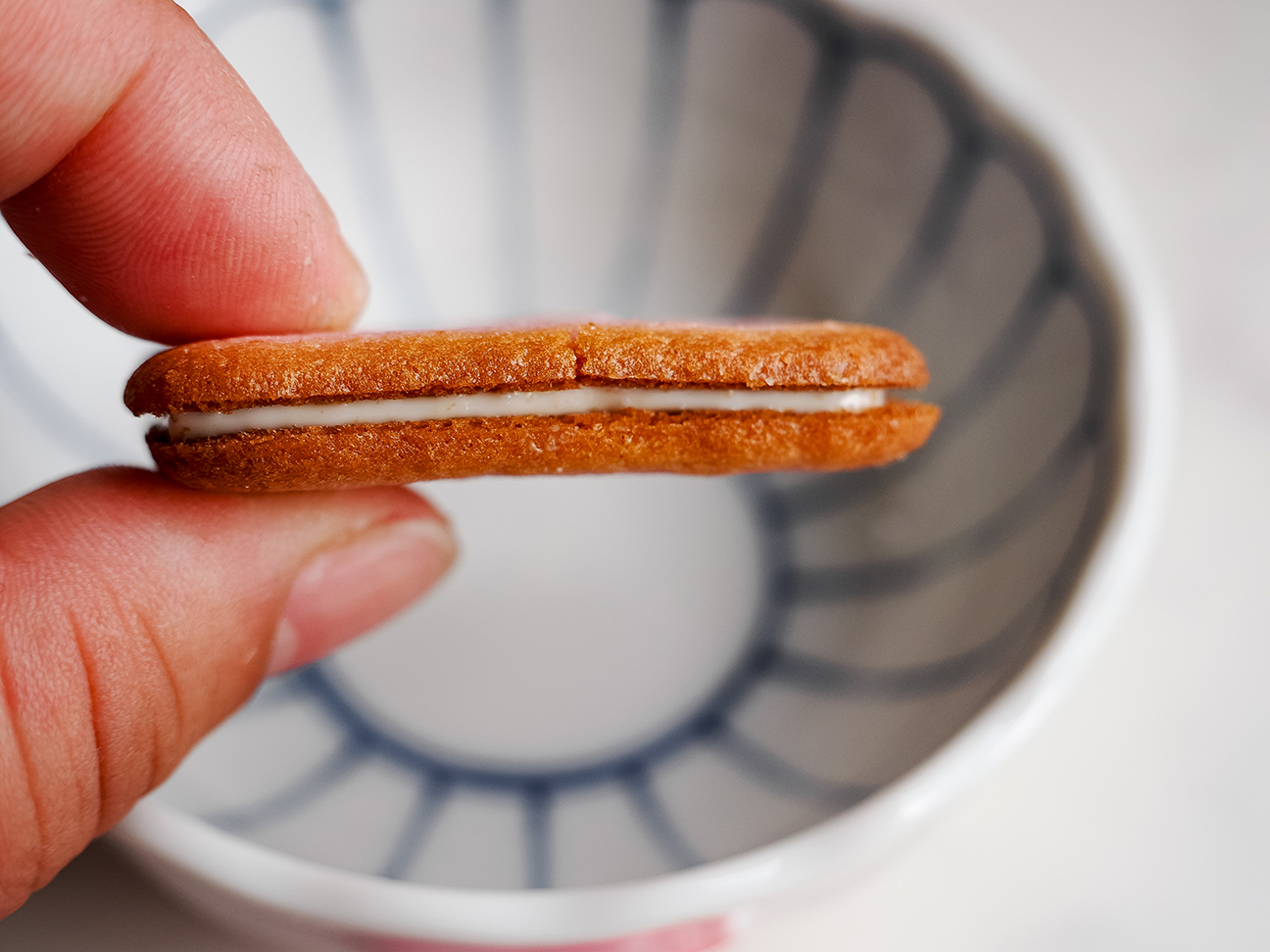Kitami’s Hokkaido strawberry cookie side view