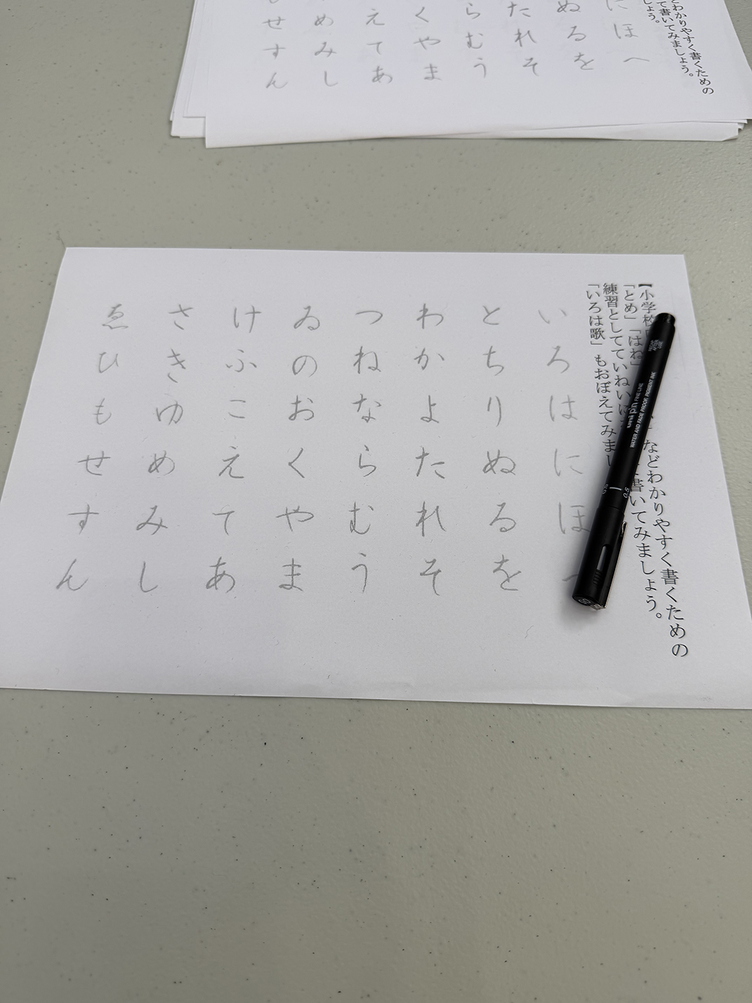 calligraphy with Japan Calligraphy Culture Association